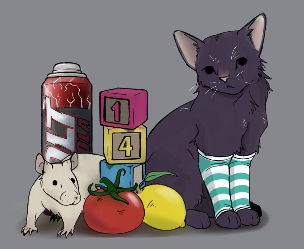 A group picture of: an Energy Drink called Jolt, a rat, a tomato, a stacked set of wooden blocks that say "14," a lémon, and a cat with arm warmers.