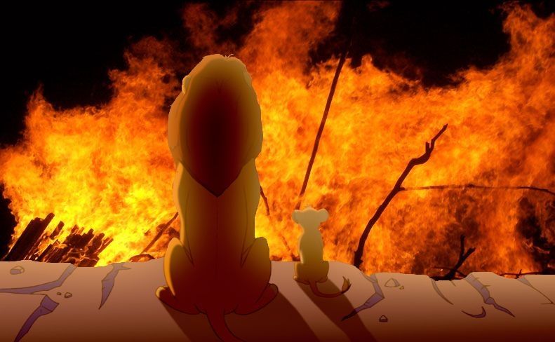 mufasa & simba lionking sitting on a clif, back to viewer, from the "everything the light touches" bit, except instead of cartoon Africa off to the horizon everything past the cliff is fire & sticks in the dark. one of the sticks lines up with where the horizon would go but there's just fire that way