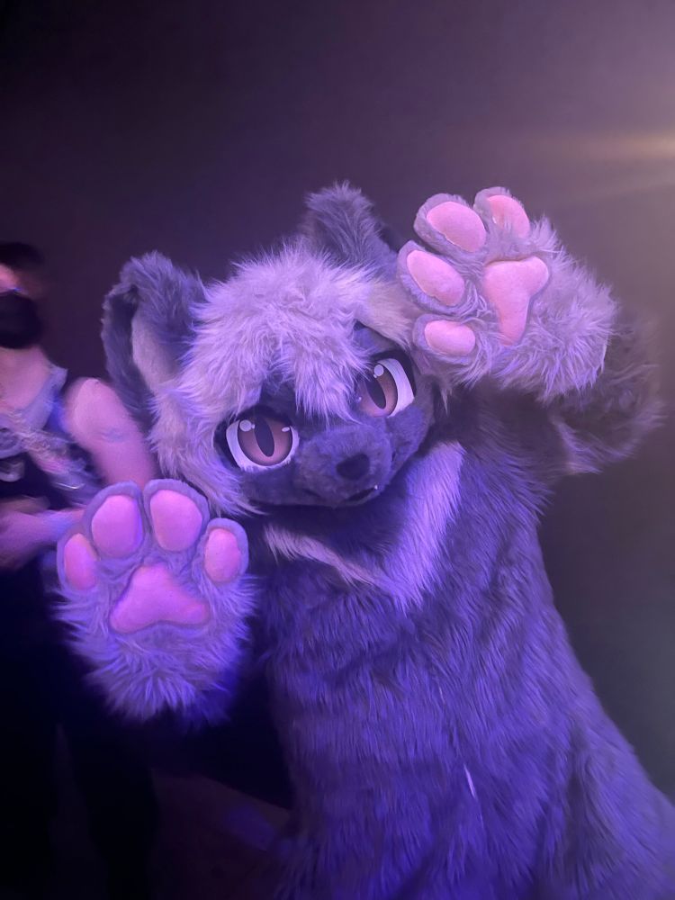 A big gray cat fursuiter dancing with someone in a mask & harness in the background