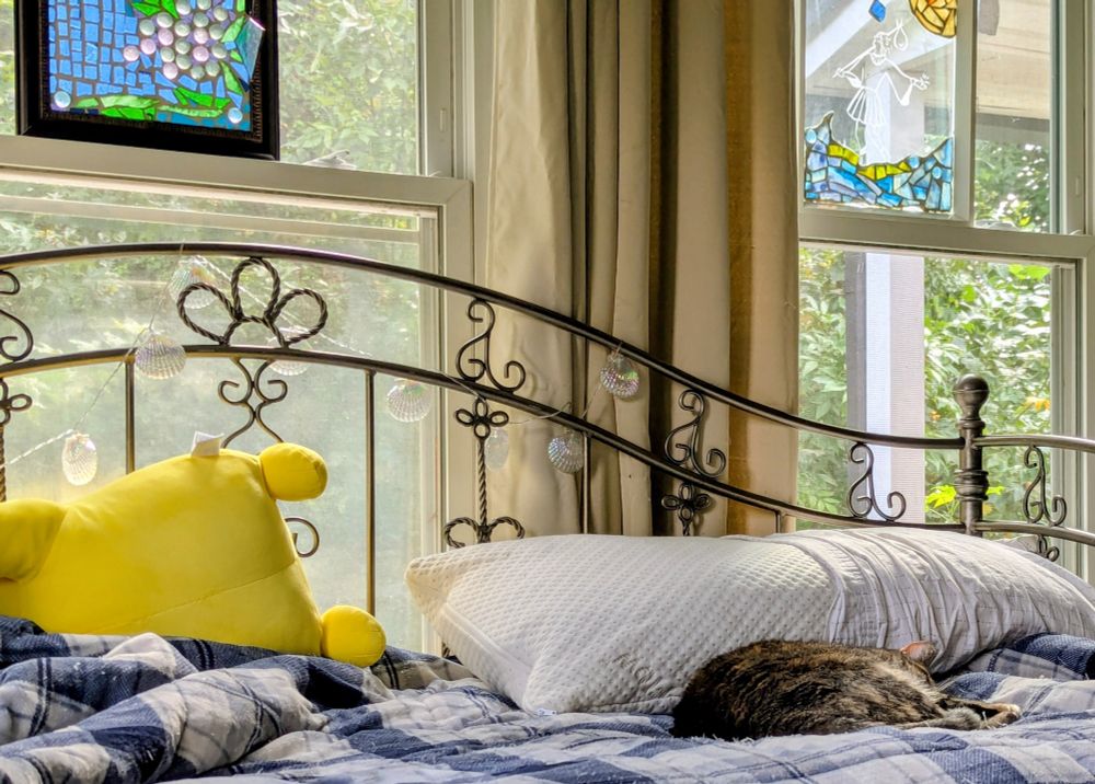 Brown striped cat sleeping on a daybed beneath windows filled with stained glass and sunshine.