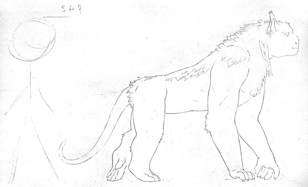 "Tequani", on all fours.