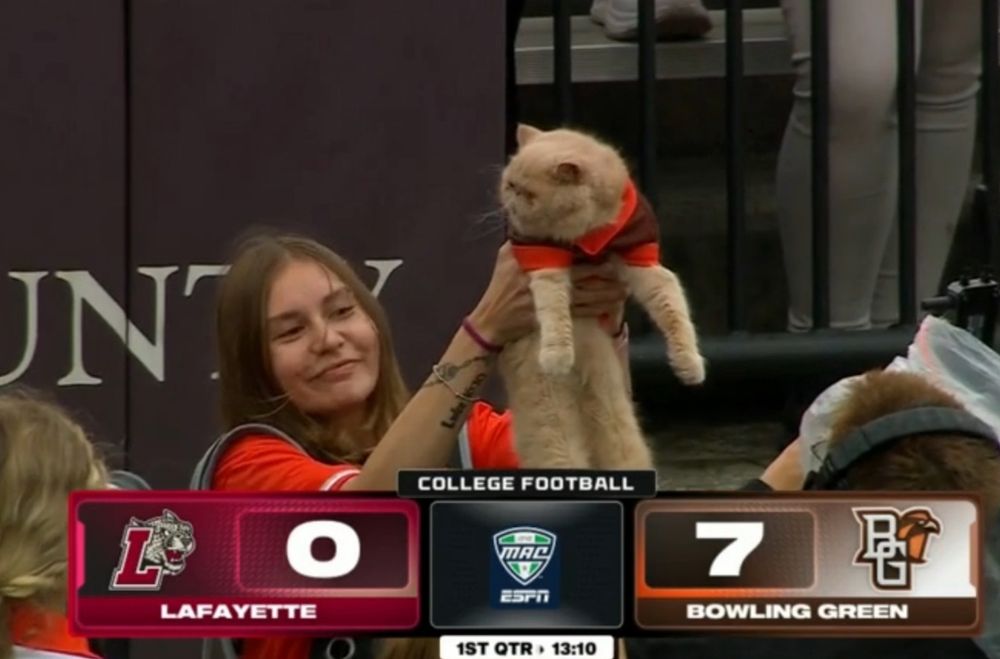 Bowling Green's Pudge the Cat (a large orange cat) being hoisted Lion King style