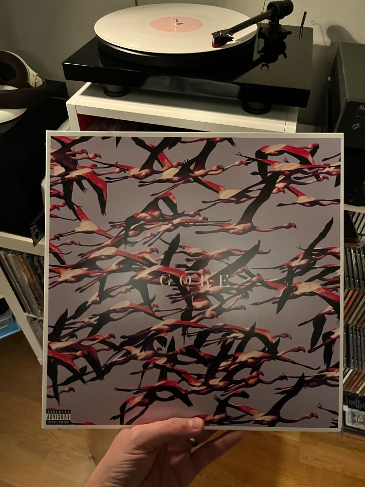 Picture of the vinyl version of the Deftones album ”Gore”