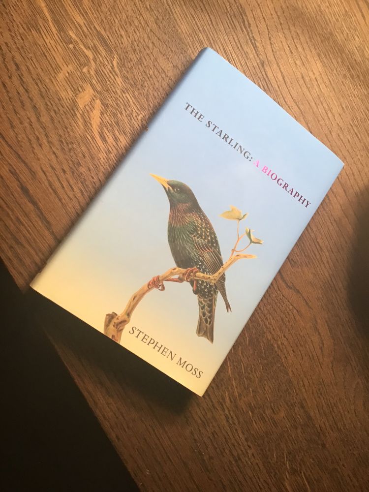 The Starling: A Biography – book by Stephen Moss