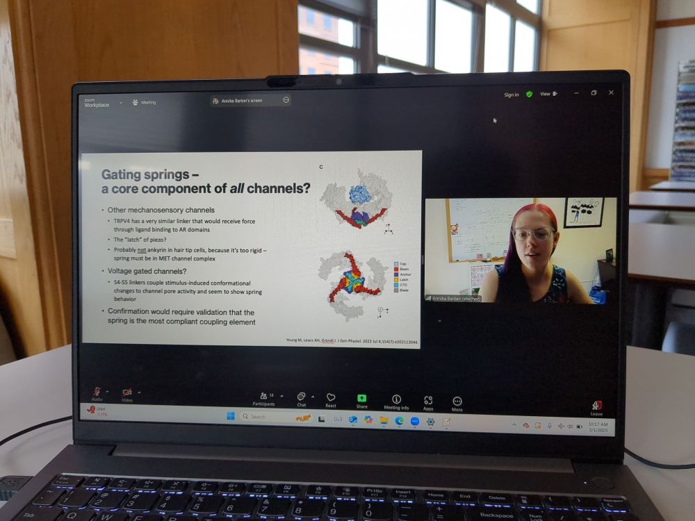 Photo of a presenter talking science