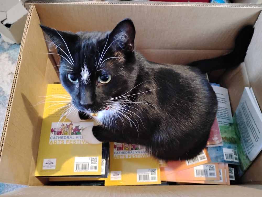 Poe the tuxedo cat sits in a box of Pete's Press books