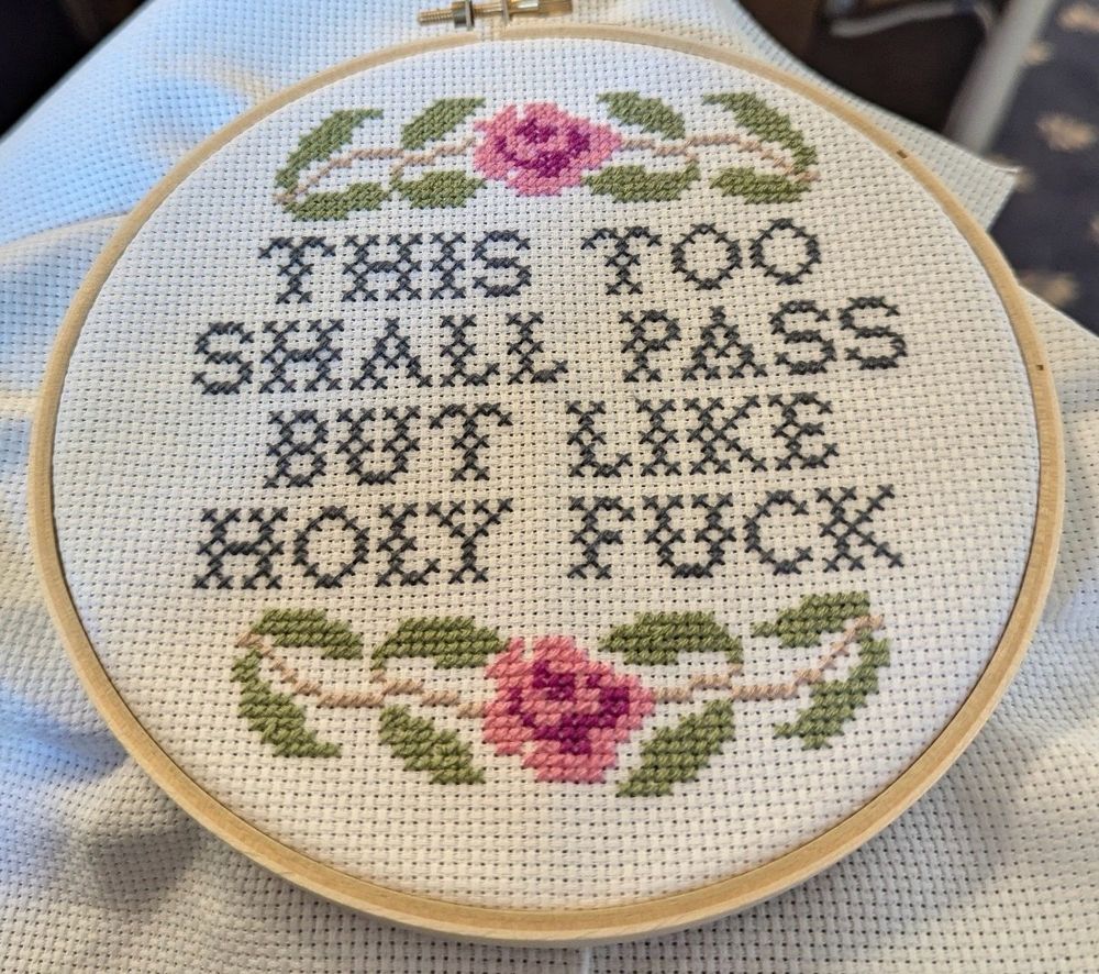 Copyright @wendyenthomas - cross stitch saying “This too shall pass but like holy fuck”
