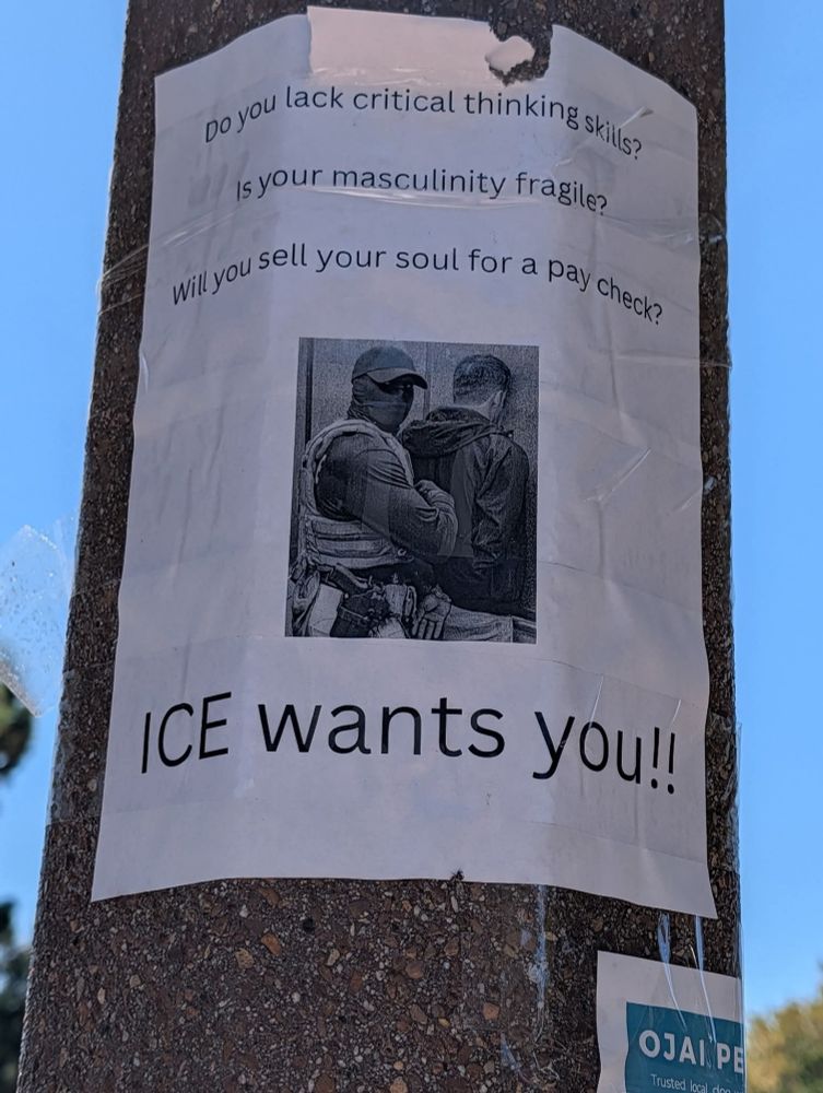Sign on a street post, reads: do you lack critical thinking skills? Is your masculinity fragile? Will you sell your soul for a paycheck? ICE wants you! 
