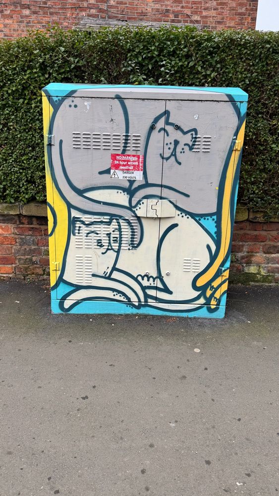 Lots of the wiring cabs in Withington, Manchester have artwork on them, this one is painted with comfortable looking cats.