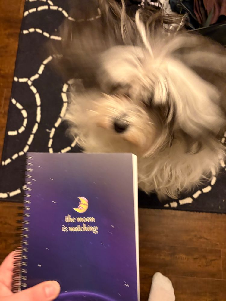 Casper jump to eat HMJ notebook 