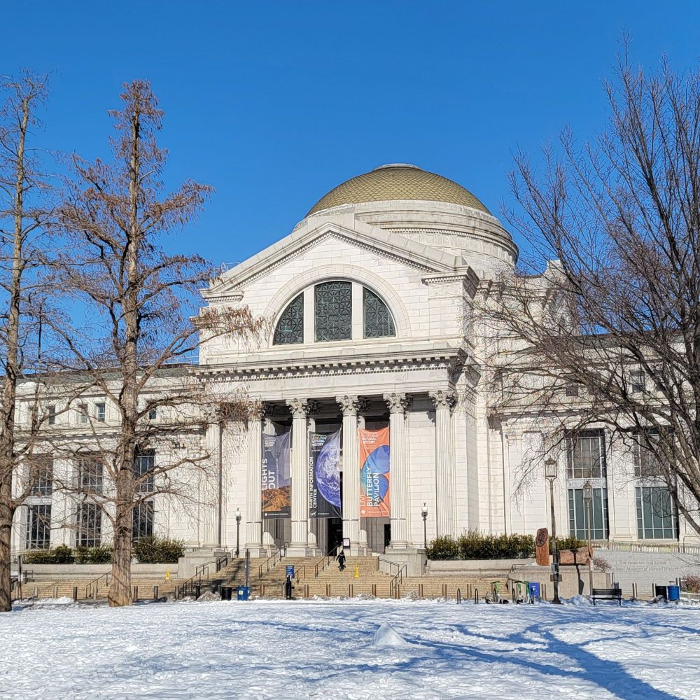 Photo of facade of the natural history museum in Washington DC in the snow 