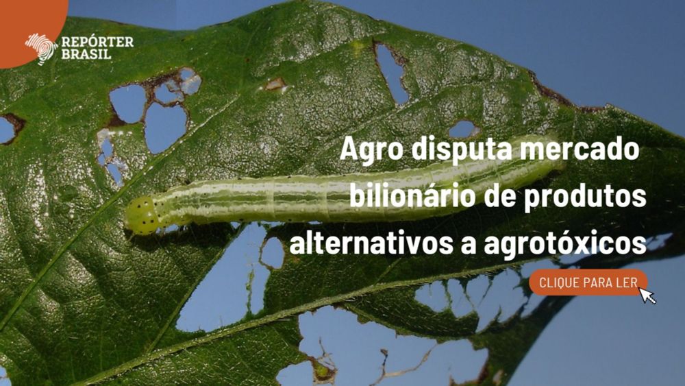 Agro disputa mercado de produtos alternativos a agrotóxicos