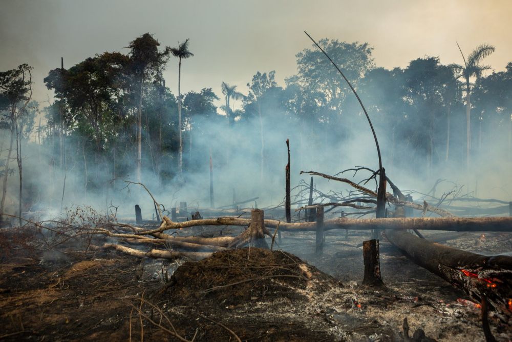 Dia do Fogo - Repórter Brasil