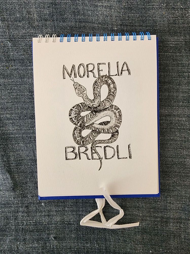 An black ink illustration of a coiled python with a dark striped body and a lightly-shaded belly. The words Morelia Bredli, its scientific name, are above and below the snake. 