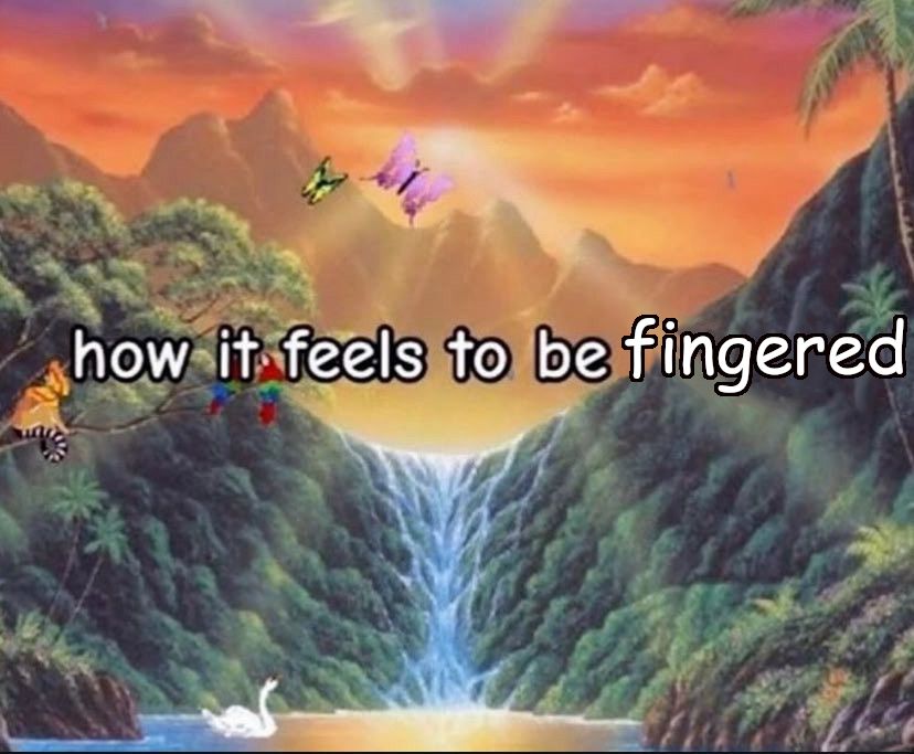 Drawing of a picturesque waterfall in the mountains at sunset. 

Superimposed text: "How it feels to be fingered"