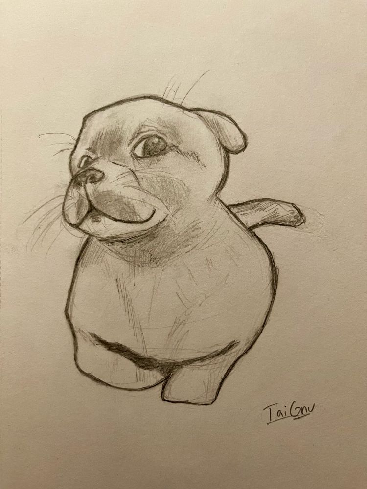 Traditional sketch of a cute puppy that appears to be perhaps smiling  