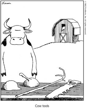 cow tools
