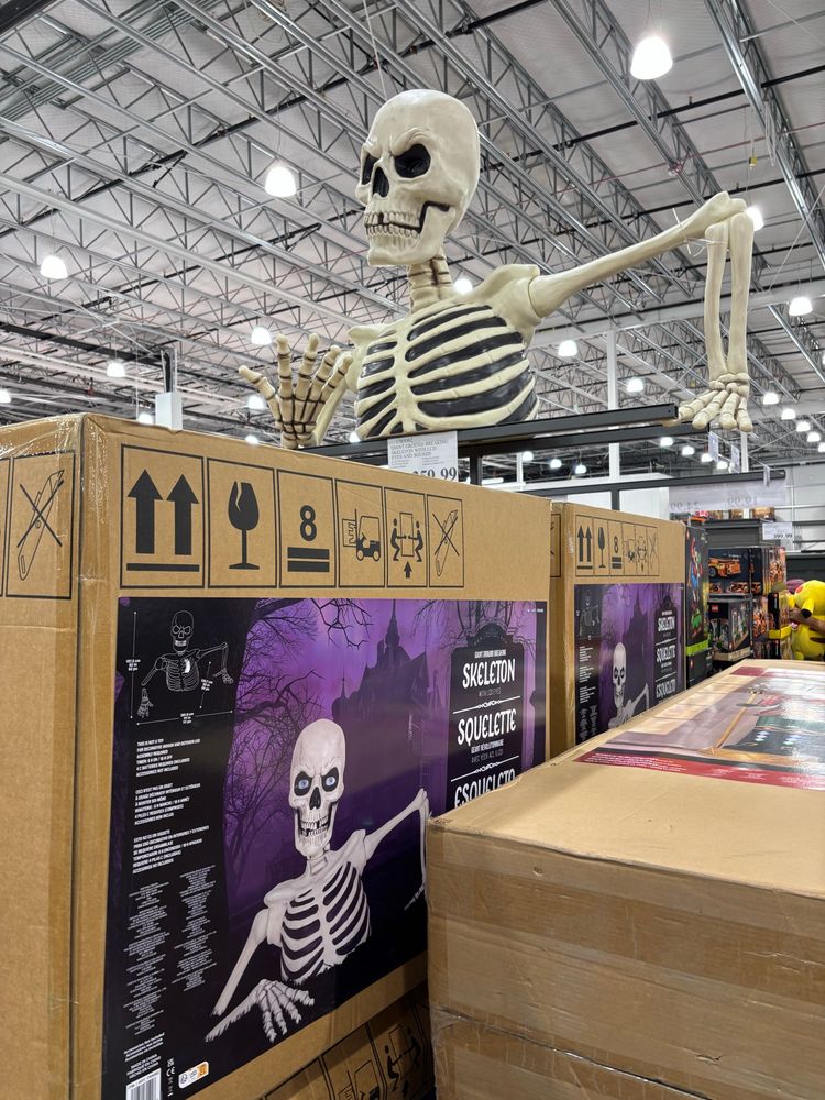 Massive decorative Halloween skeleton torso