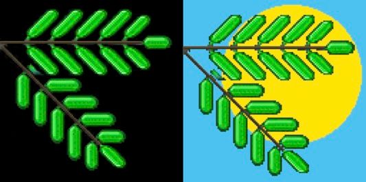 Two icons of the Mesquite program, with leaves of the mesquite tree against a black background (first icon) and against the blue sky and sun (second icon).