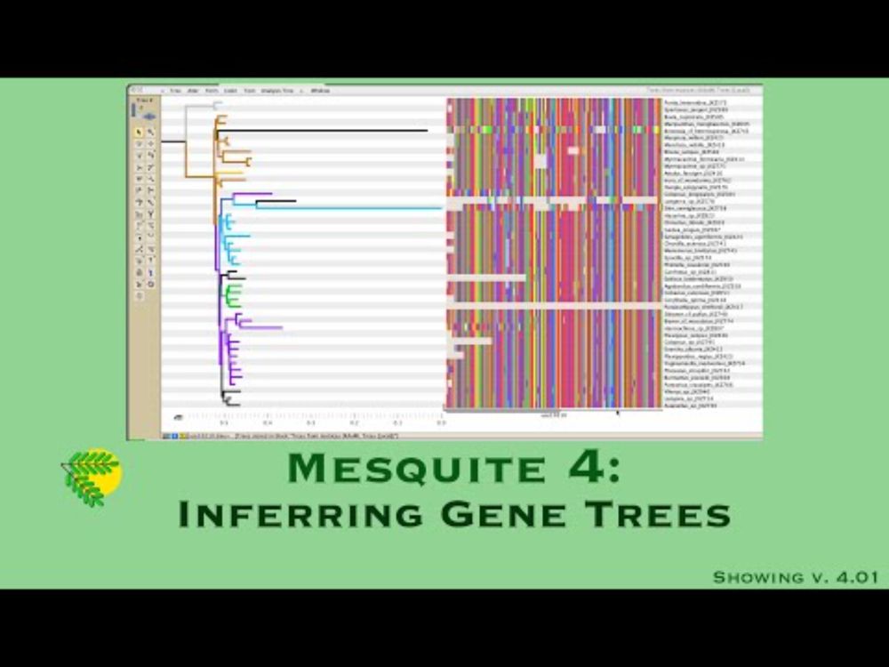 Inferring Gene Trees in Mesquite 4