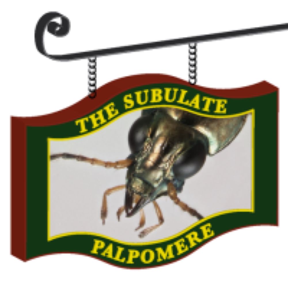 Phylogenetics – The Subulate Palpomere