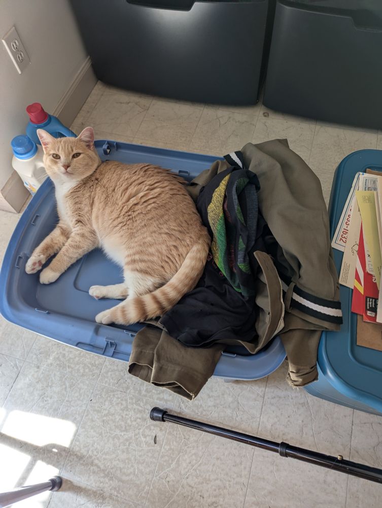 Chirper on blue plastic clothes hamper, with a black Glassjaw shirt and brown pants sitting on it.