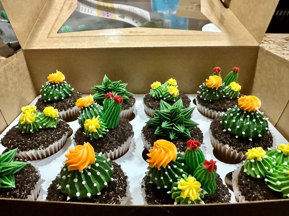 Cupcakes decorated like cacti and succulents