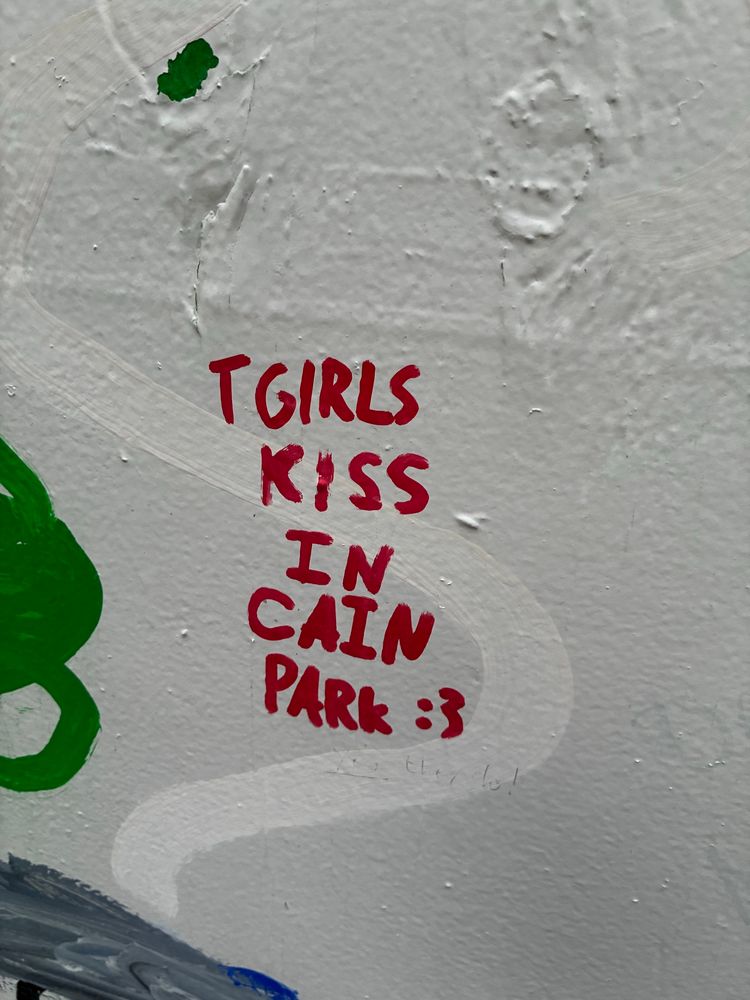 Graffiti that reads: “tgirls kiss in Cain Park :3” 