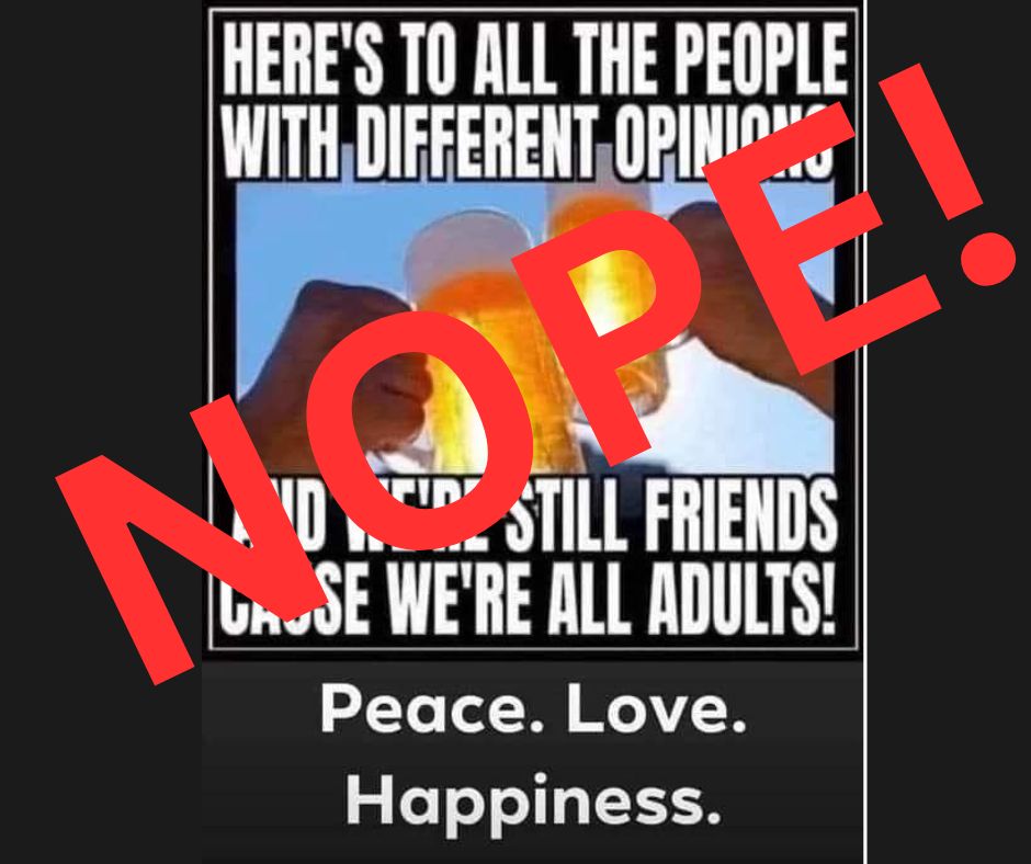 A picture of two people toasting with beer and the text
Here's to all the people with different opinions
and we're still friends 
cause we're all adults 
Peace. Love. Happiness.
The word "NOPE" in large, red font is across the meme
