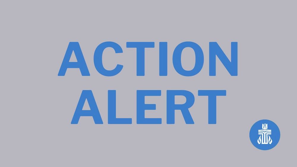 A gray background with blue text that reads ACTION ALERT. 