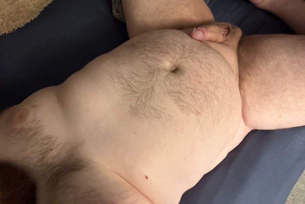 Naked white bear in bed with morning wood