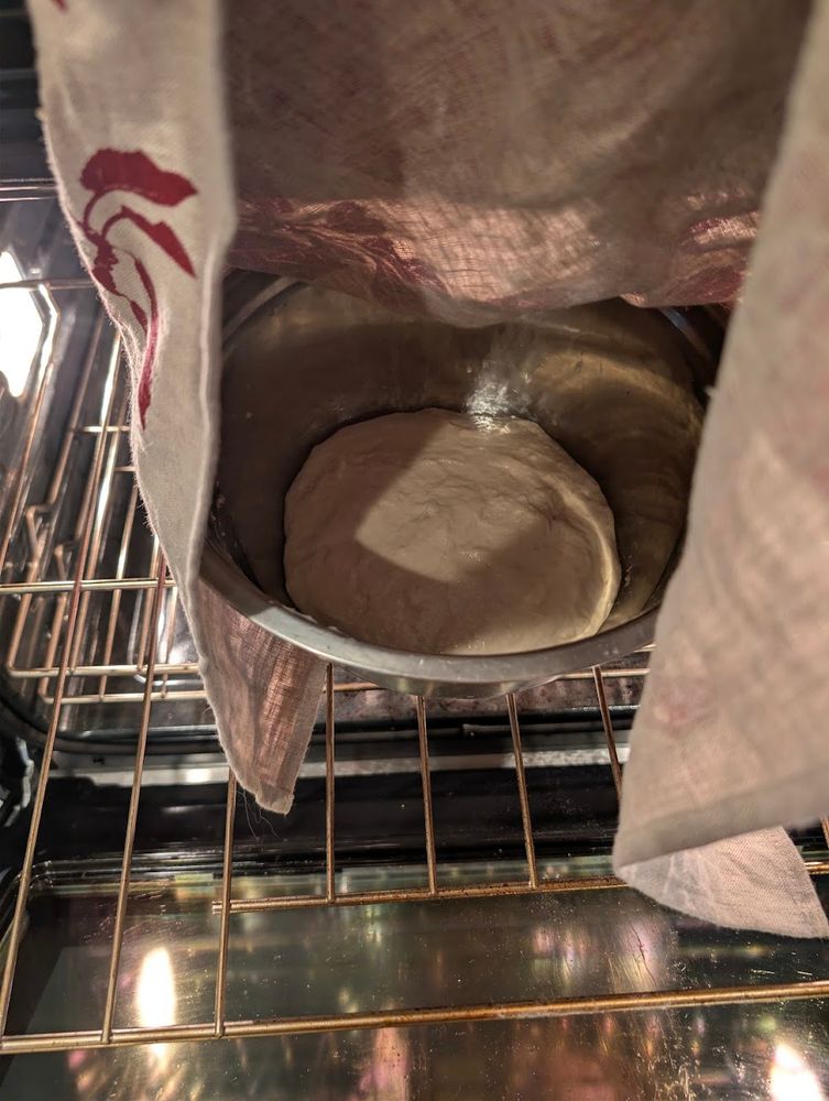 Dough proofing in a bowl covered in a towel in a warm oven with the door cracked.