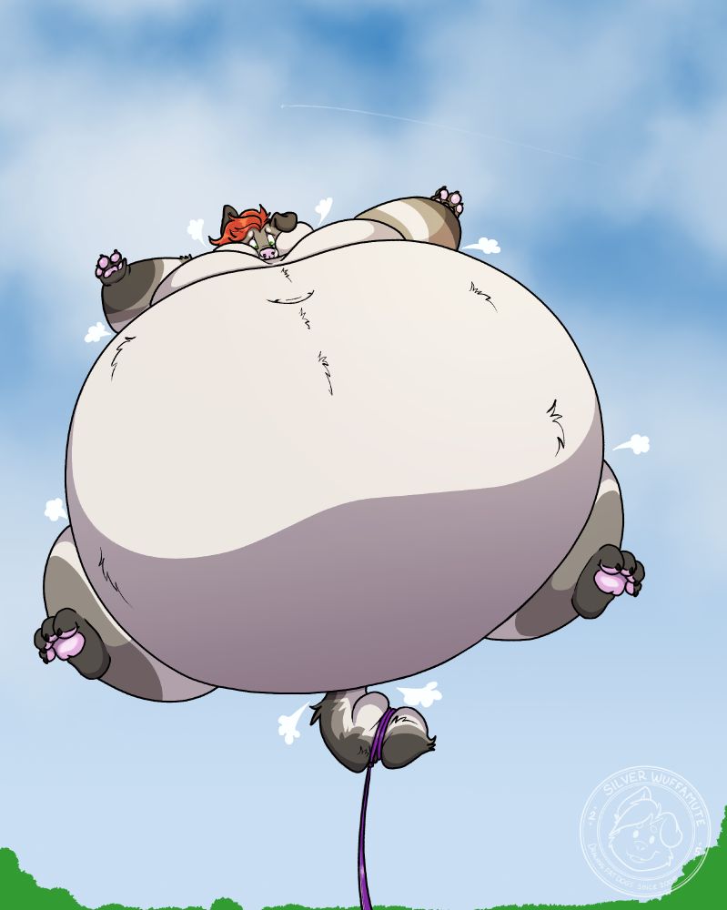 A drawing of Silver inflated and floating into the sky.  Air is escaping from around his joints and his tail is tied around with a rope or cord that is keeping him from flying off into the sky.