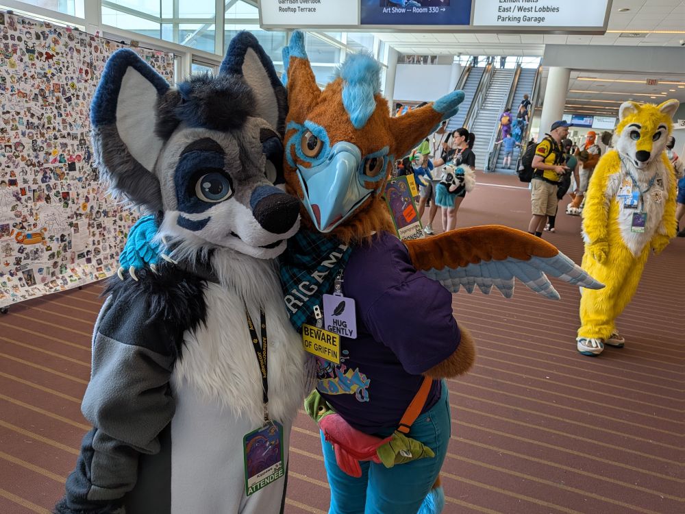 Me in my gryphon fursuit with a grey, white and blue canine fursuiter