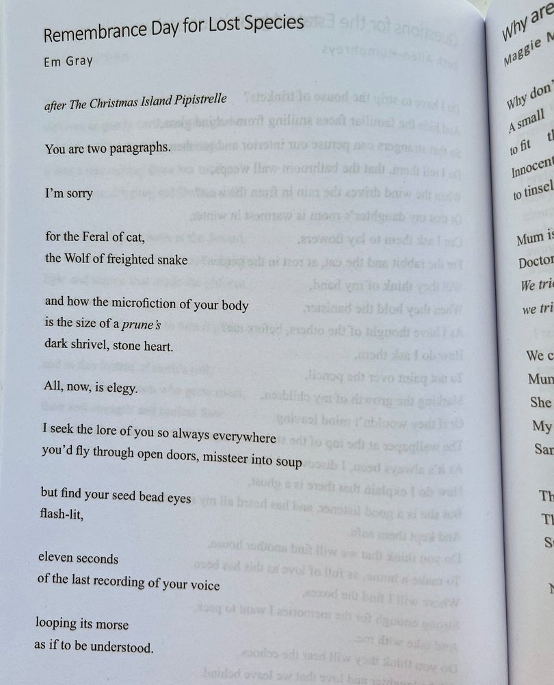 Photo of poem by Em Gray, titled 'Remembrance Day for Lost Species' (after The Christmas Island Pipistrelle), that reads:

You are two paragraphs. 

I'm sorry 

for the Feral of cat,
the Wolf of freighted snake 

and how the microfiction 
of your body
is the size of a prune's 
dark shrivel, stone heart.

All, now, is elegy. 

I seek the lore of you so always everywhere
you'd fly through open doors, missteer into soup

but find your seed bead eyes 
flash-lit,

eleven seconds 
of the last recording of your voice 

looping its morse 
as if to be understood.

