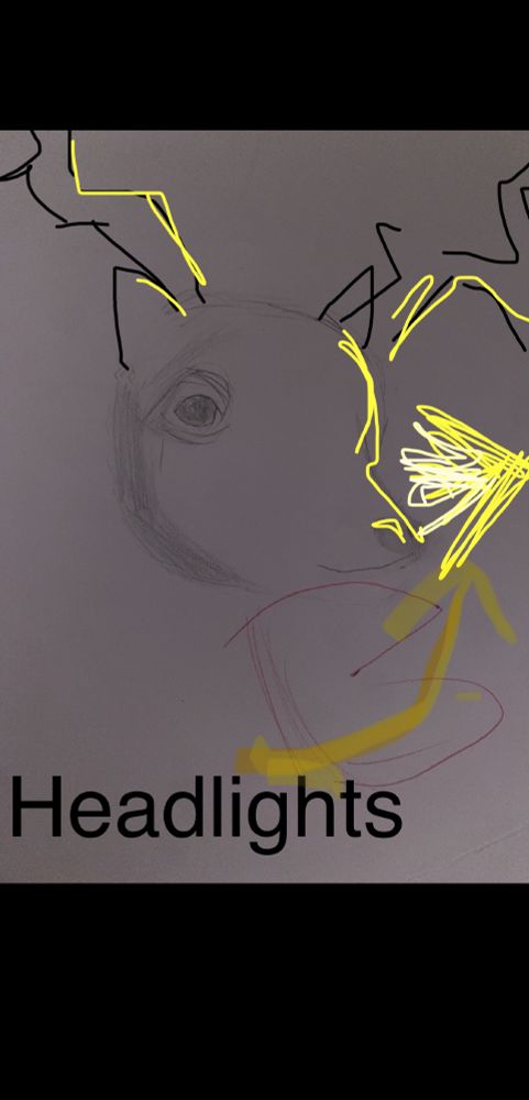 Horrible drawing of deer in headlights