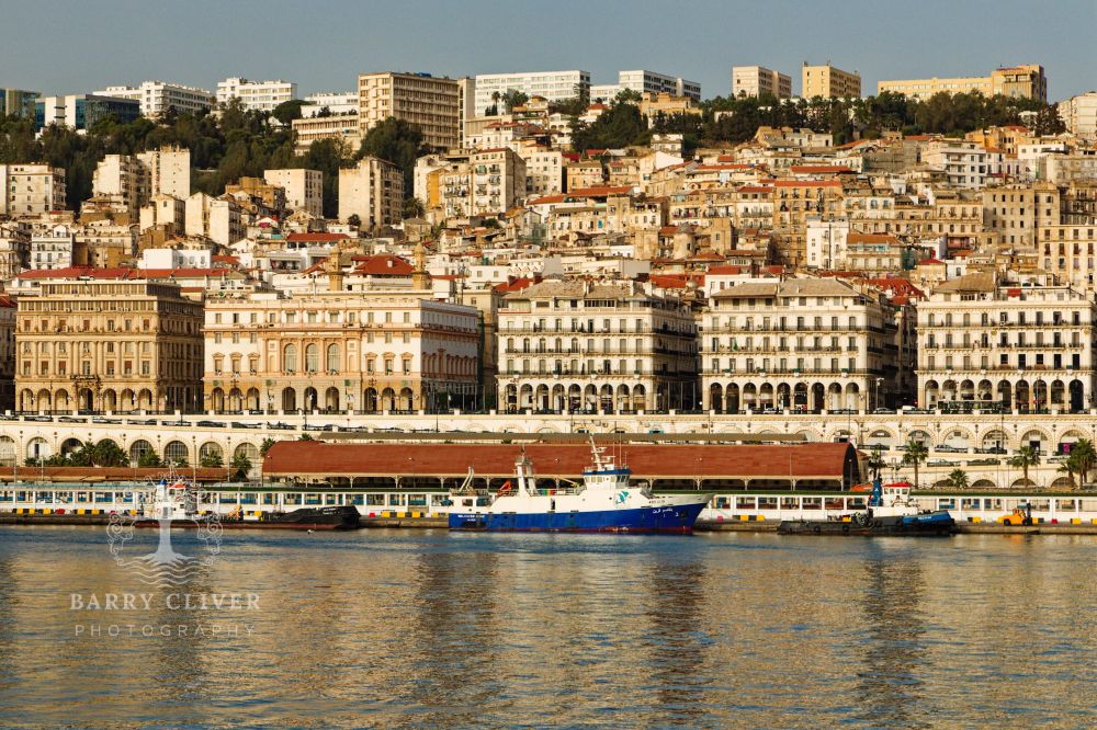 Port of Algiers with French-colonial buildings reflecting in the water, and newer high-rises in the background.
