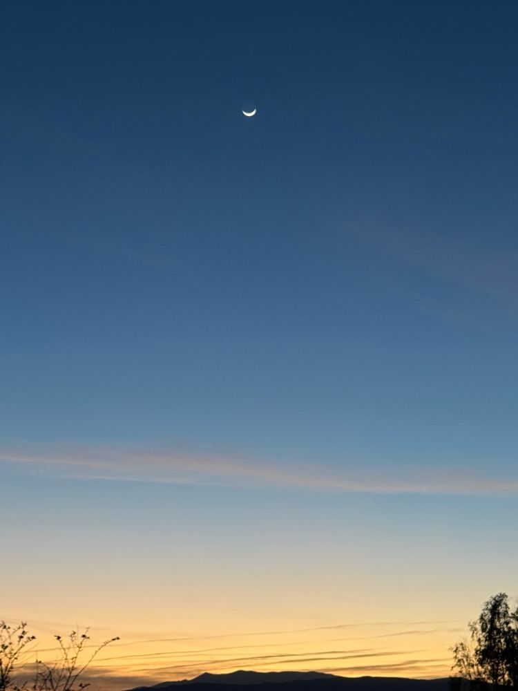 Sunset with moon looking like the Cheshire cat’s smile 