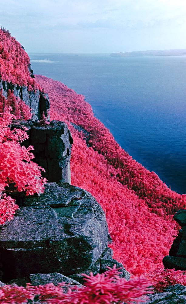 A color infrared view from atop a 1000 ft (300m) cliff looking over the waters of Lake Superior below. Pink watermelon trees contrast cobalt blue waters and charcoal bluffs in an almost two-toned final image. 