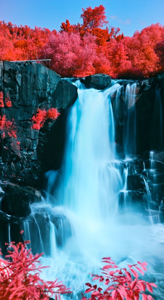 A long exposure color infrared photo of a waterfall. Wispy white water cascades over wet black rocks. Pink leaves poke out of the bottom of frame while carmine trees stand above the falls. A blue sky is just in the top of frame. 