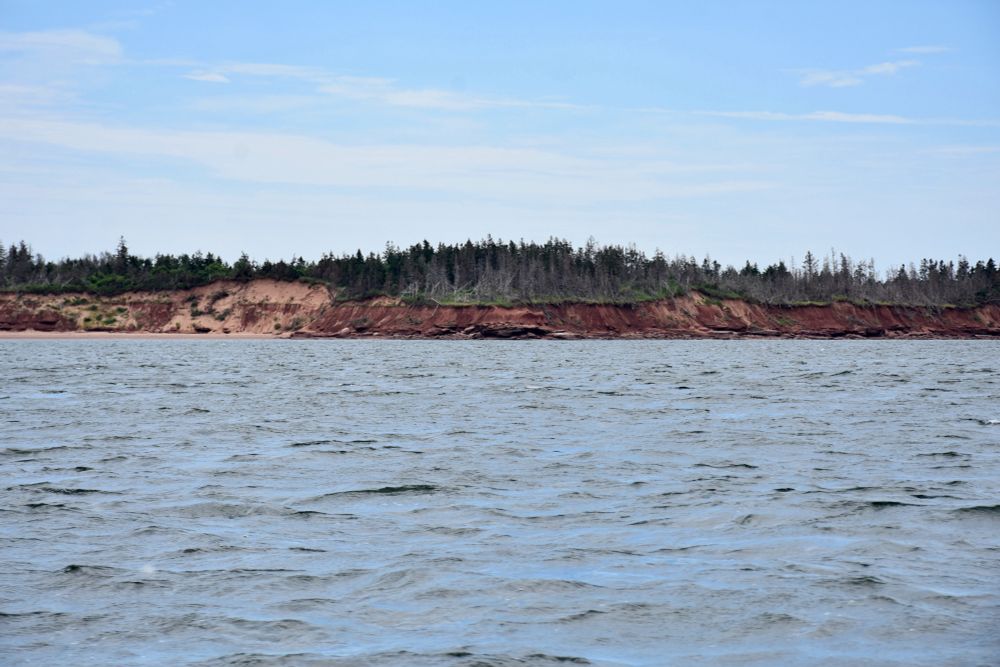 Paysage côtier de l’Île-du-Prince-Édouard montrant des falaises de grès rouge et une forêt en arrière-plan et les eaux du golfe du Saint-Laurent au premier plan.