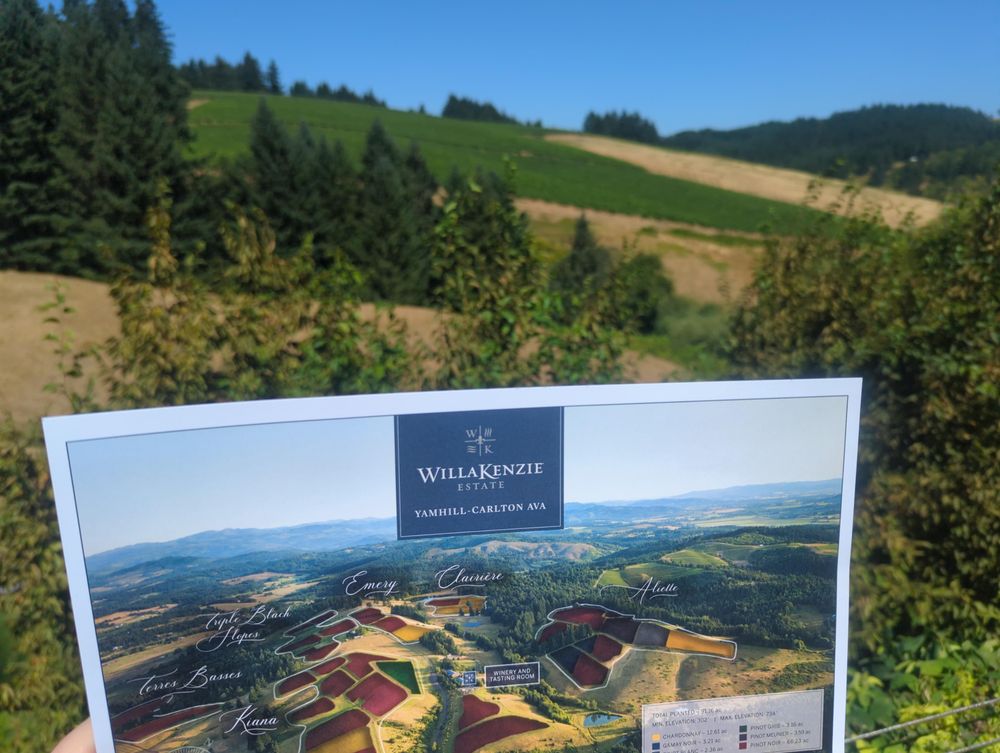 WillaKenzie vineyard block map in front of Alliete block.
