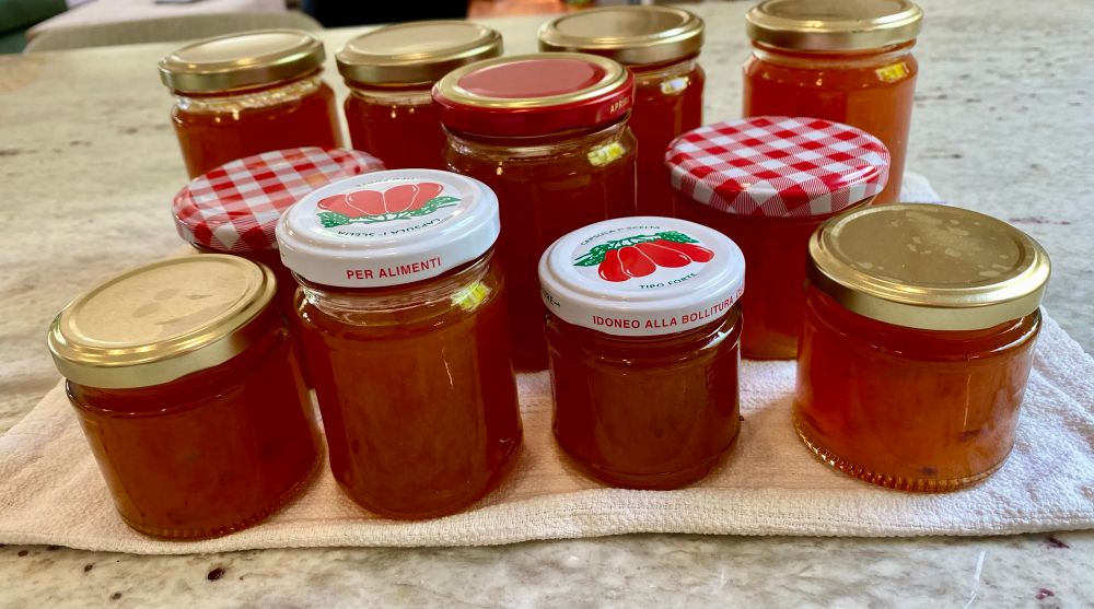 Homemade apricot & brandy jam bottled. 