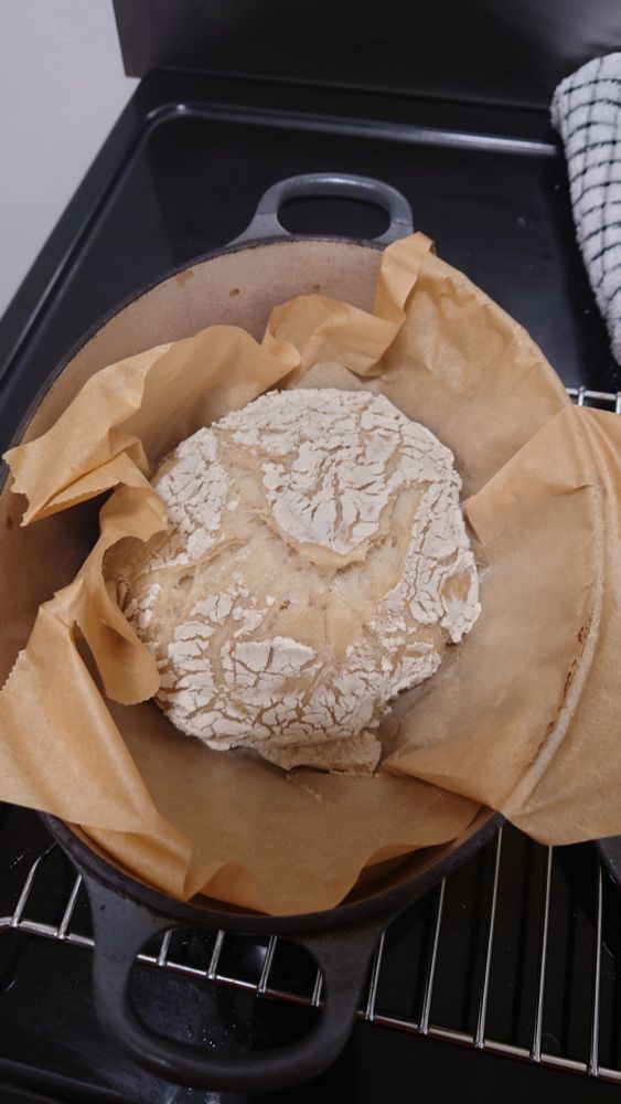 a small very floury loaf in an open le creuset 'Dutch oven' and a leaf of greaseproof paper