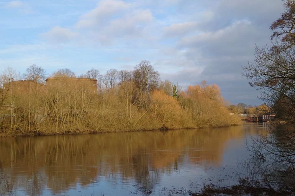 Autumn trees reflecting in the Dee downstream of Handbridge 