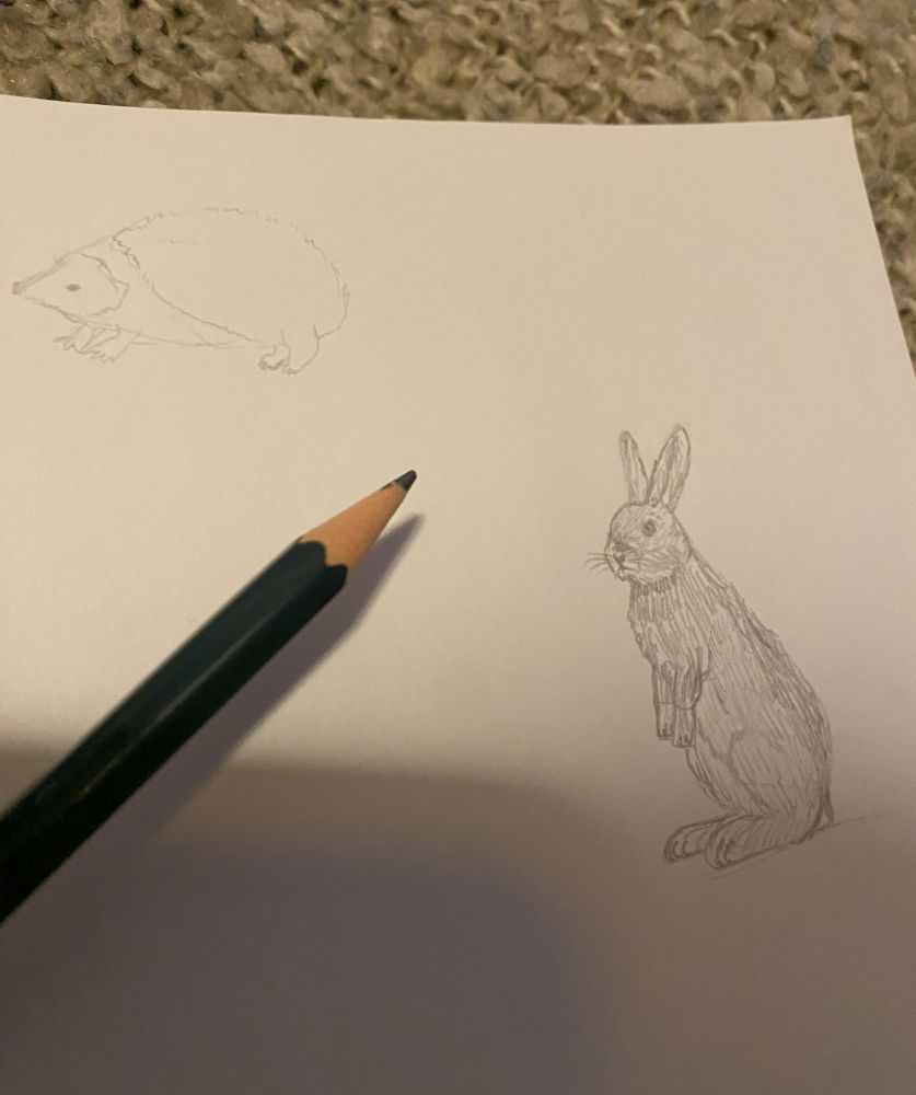 A drawing of a hedgehog and a hare