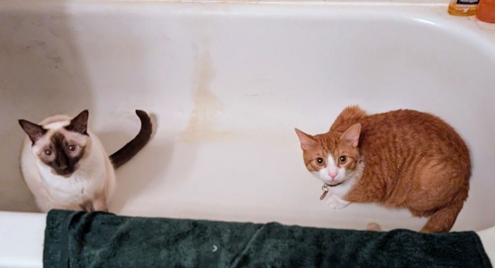 Avasarala (left) and Stanley (right) sharing the bathtub.