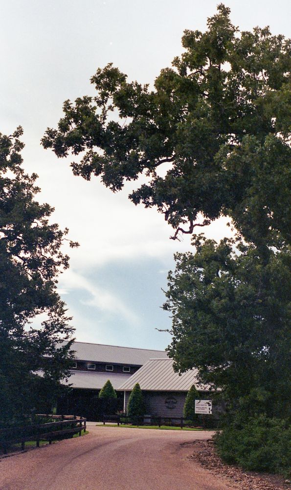 A brown/red dirt road in the foreground leads to two buildings in the background. The building in front is one story and the building in the back has high windows above a lower sloped roof. The road is lined by trees and the foliage partially obscures the sides and top of the photo. The sky is light blue above the buildings with white wispy clouds. A fence lines the left side of the dirt road. 