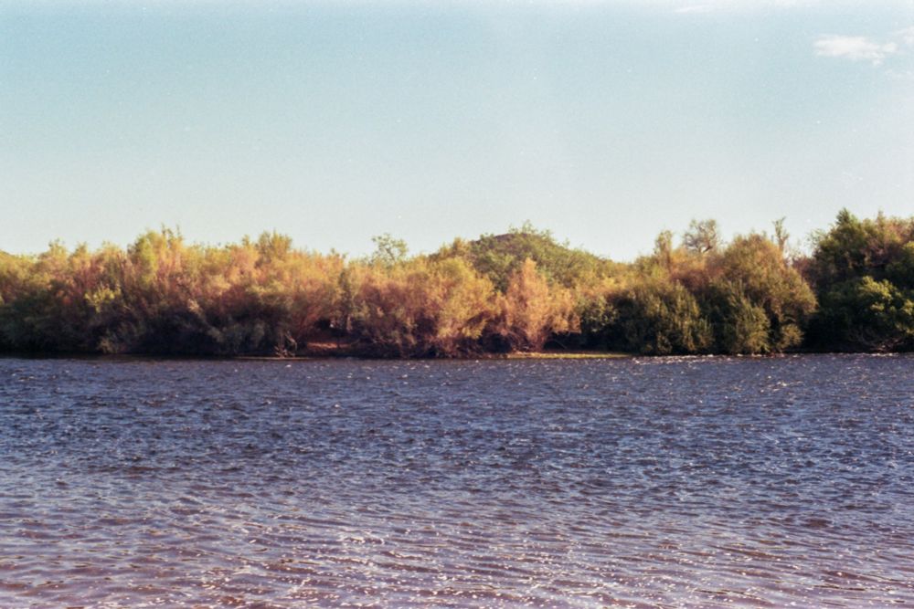A landscape shot of The Salt River in Arizona. The river is blue-grey with white from the sun reflecting off the river. In the background along the bank of the river is brown and slightly green brush from left to right. A small hill can be seen beyond slightly to the right of middle behind the brush/trees. And the sky in the top third of the shot is light blue. 