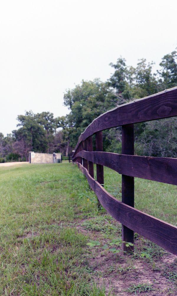 A brown fence (colored somewhat purple from the lighting) is on the right side of the photo. The photo is shot close to the ground and the fence extends into the background and middle of the shot. There is sparse green grass and some dirt in the foreground. There is a light brown brick fence in the background, some cloudy/light grey sky, and trees along the right of the background behind the fence. 